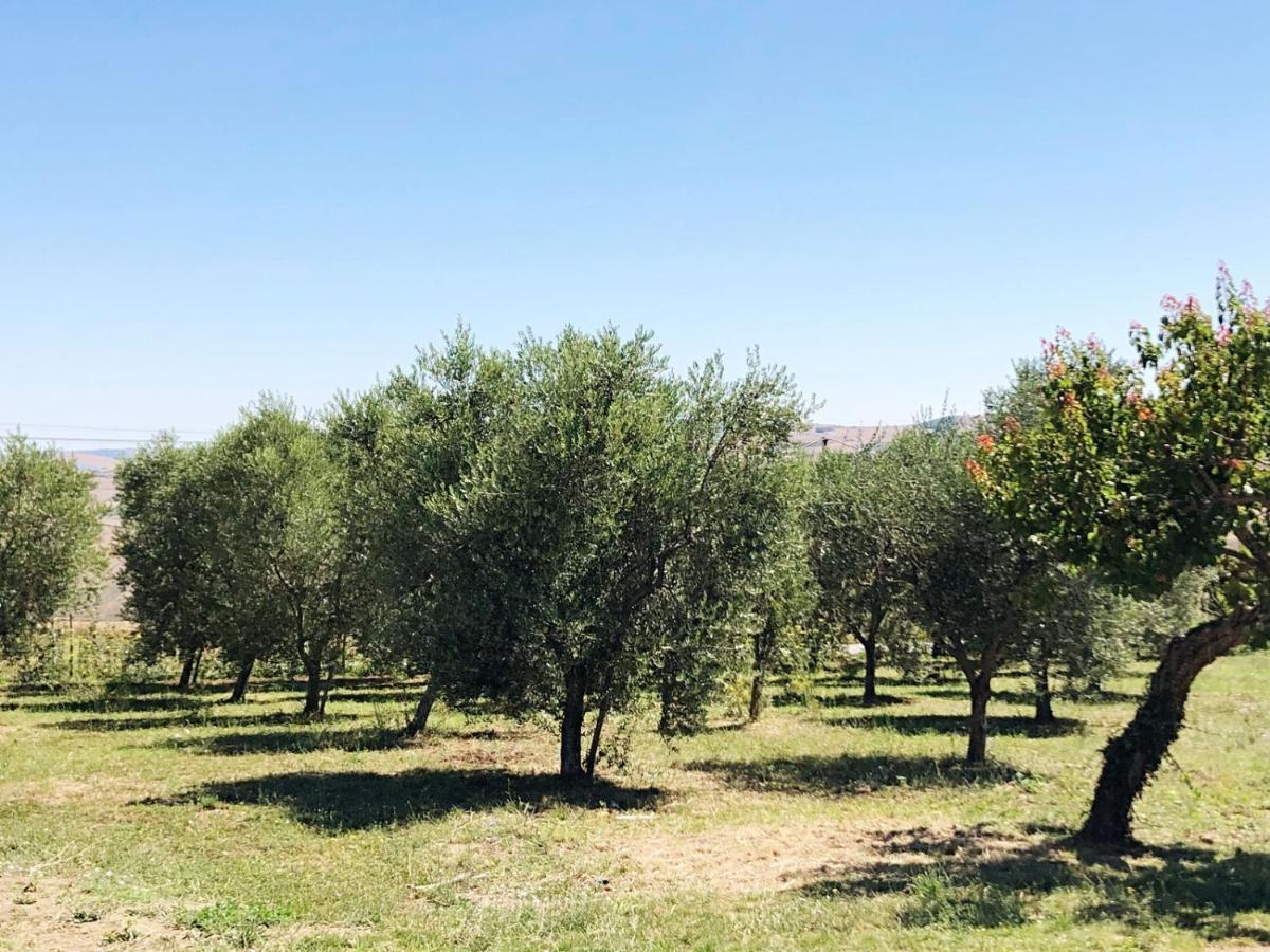 Agriturismo Casale Cerere Lacedonia Eksteriør billede